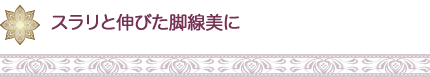 スラリと伸びた脚線美に
