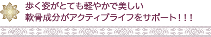 歩く姿がとても軽やかで美しい。 軟骨成分がアクティブライフをサポート!!!